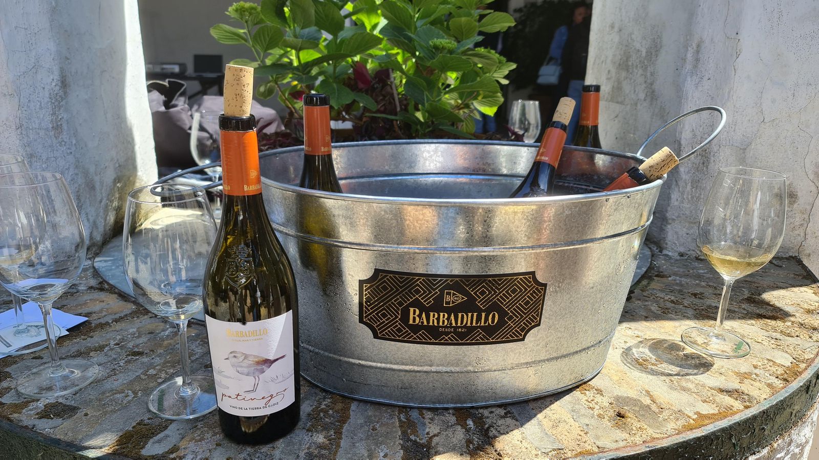 Botella vino ecológico Patinegro Barbadillo