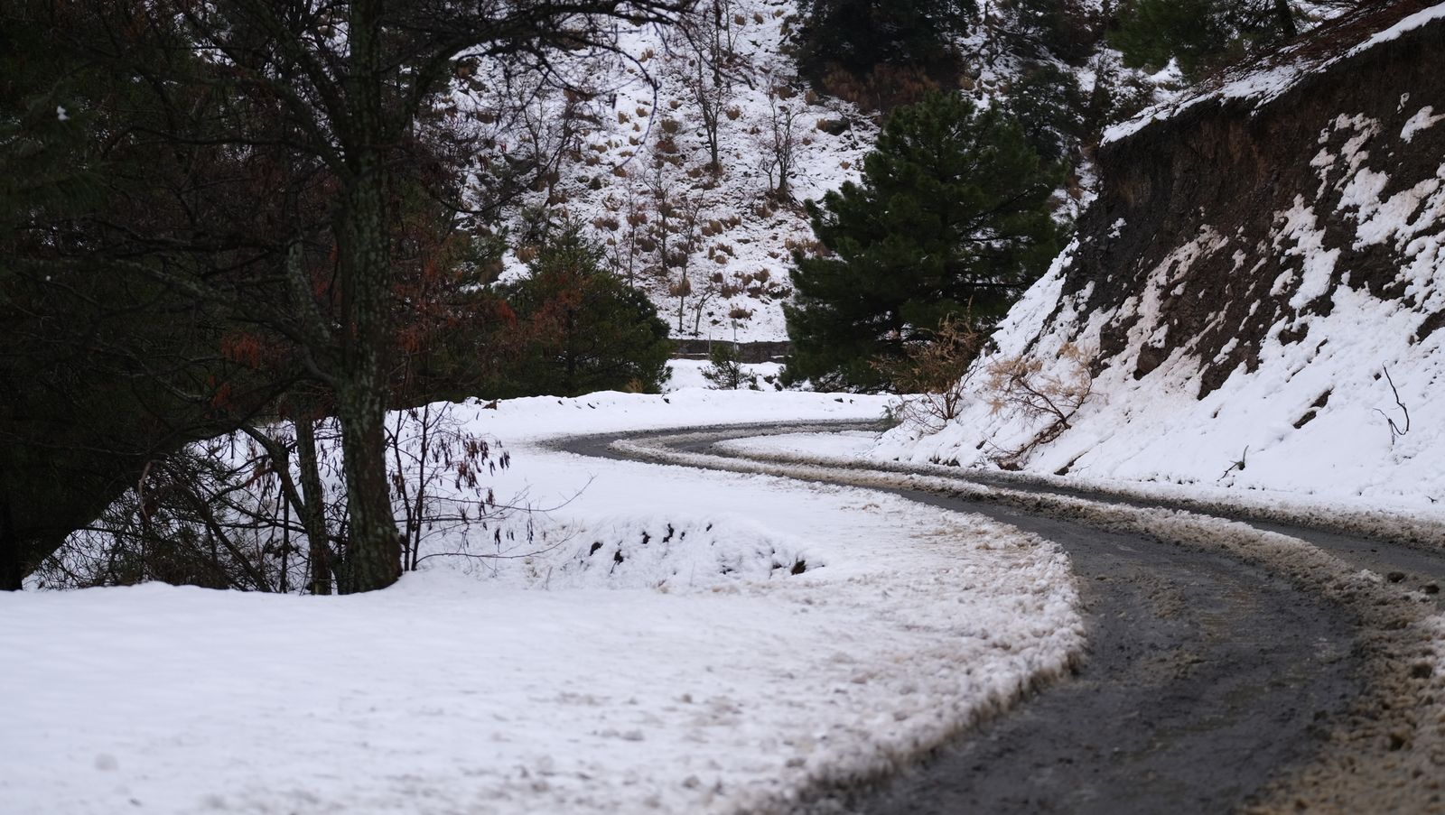 Fotogalería nevada en la Provincia de Almería