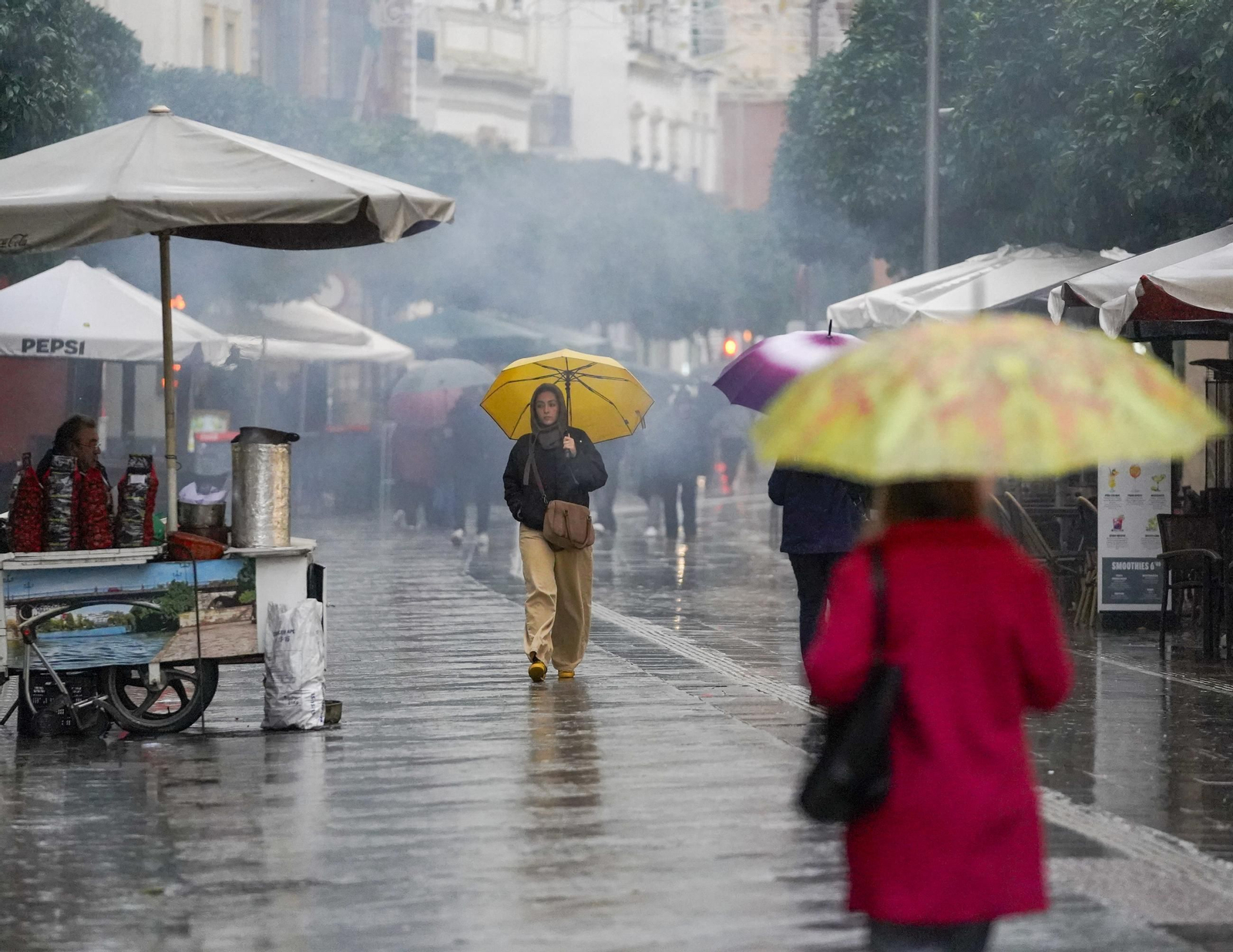 Viernes de lluvia intensa en Sevilla
