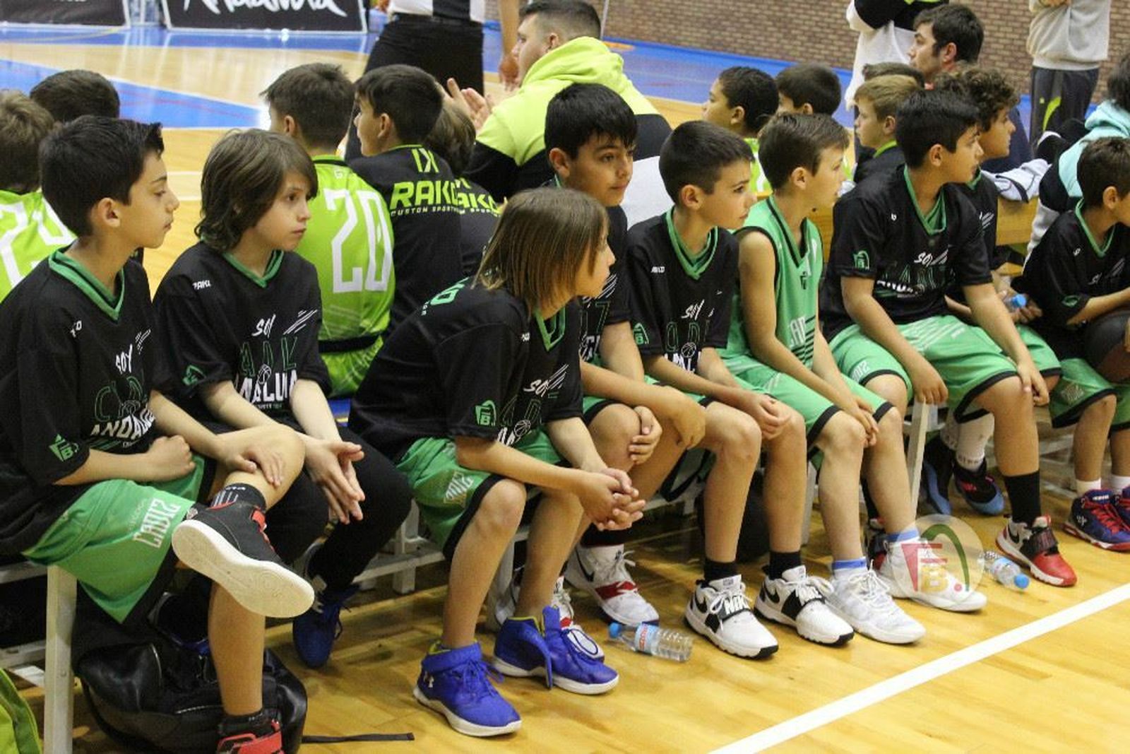 La V Fiesta Preminibásket en Benahavís, en fotos.