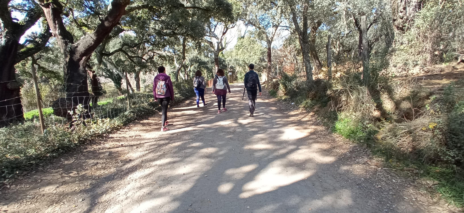 Las imágenes de la ruta de la cascada de Jollarancos y bosque de las letras