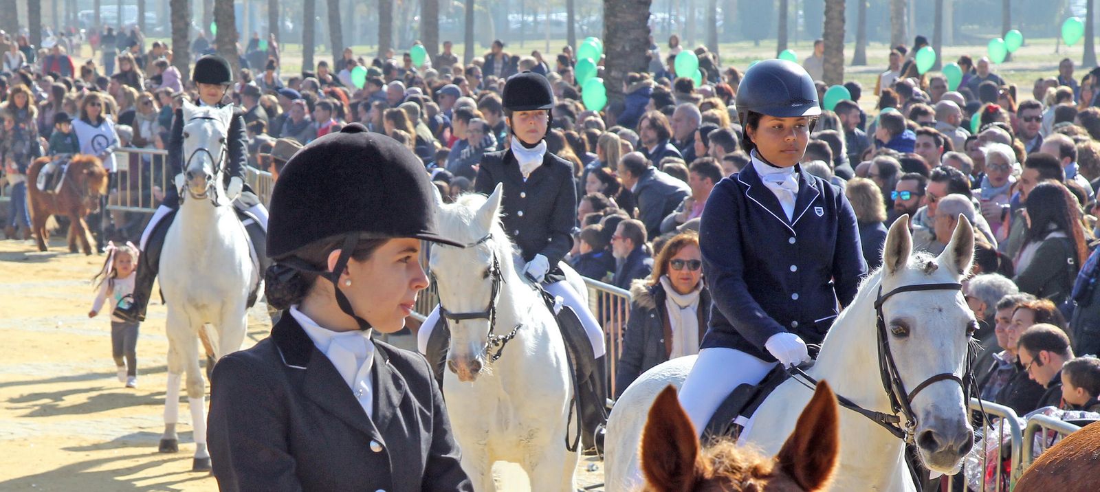 Las imágenes de San Antón