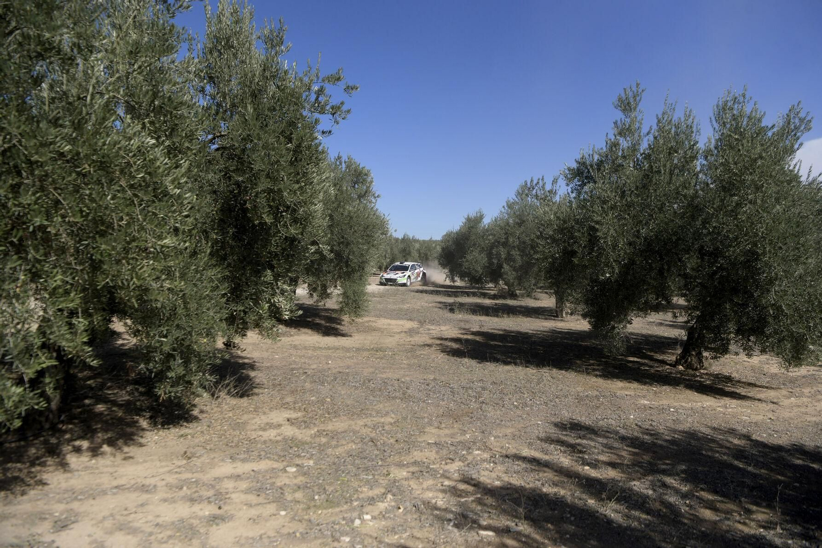 La primera jornada del Rally Ciudad de Granada, en imágenes
