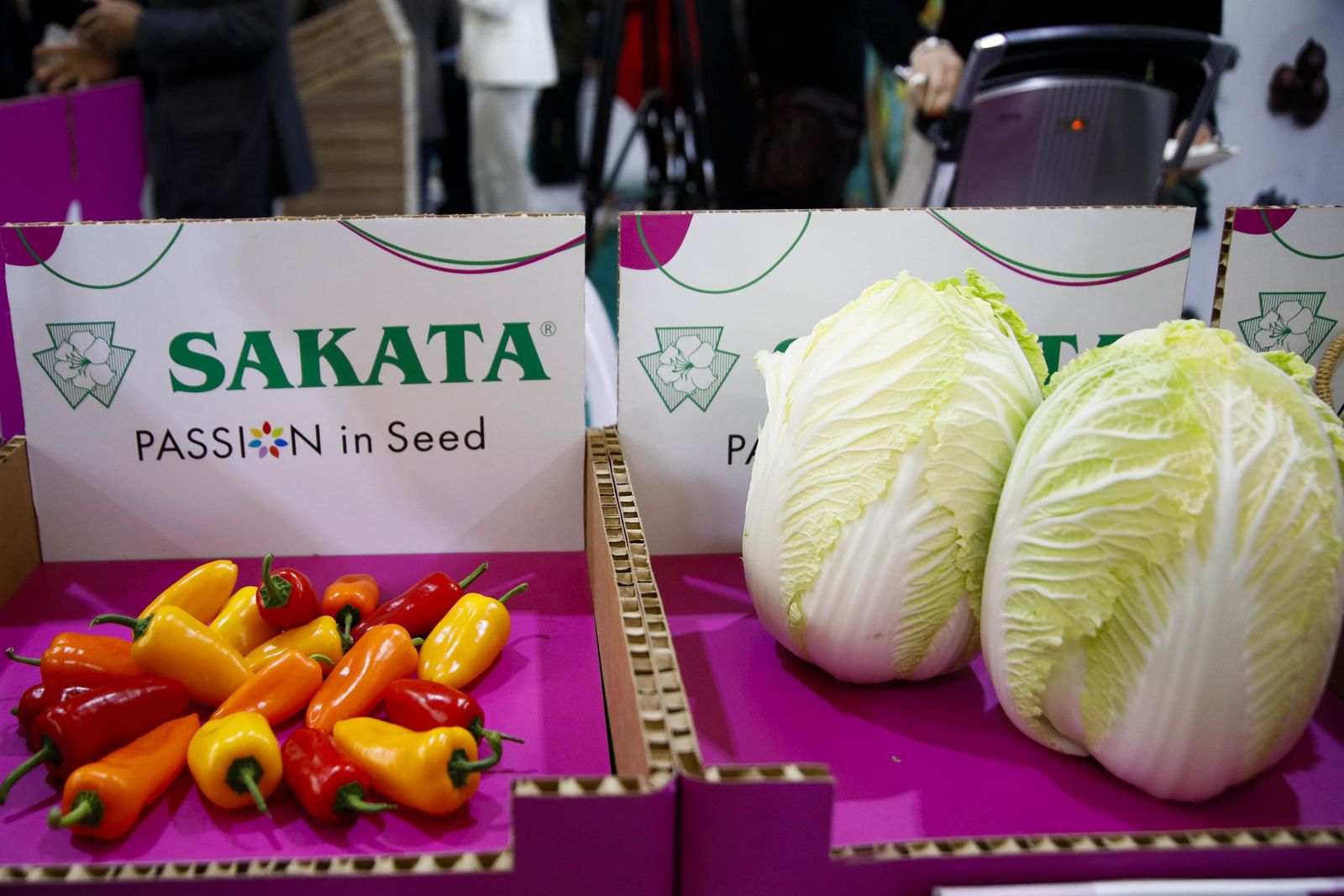 Imágenes de la inauguración de Vestial 20205 en el Palacio del Toyo