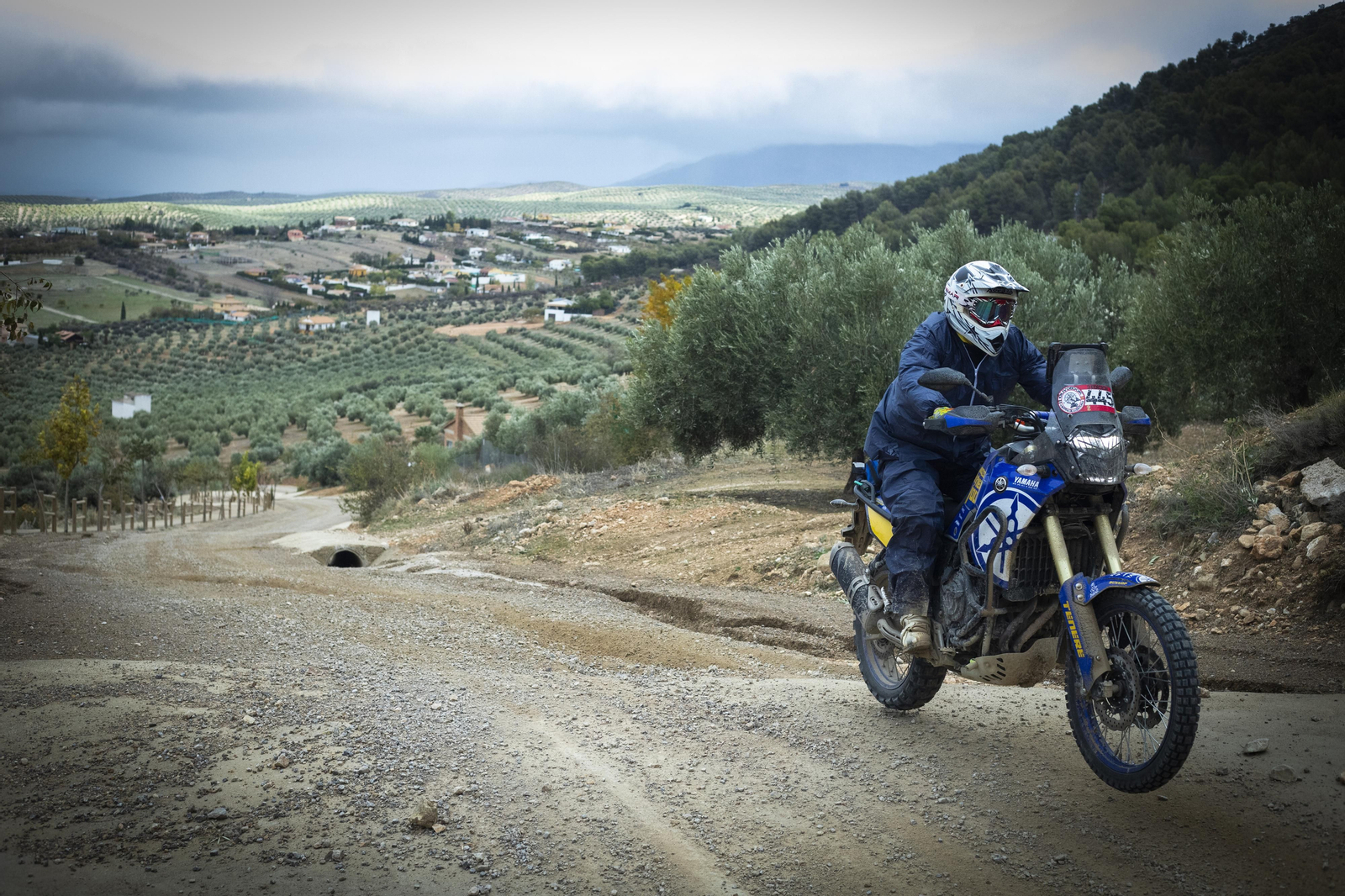 ¿Estuviste en la tercera edición de la ruta Olivobook? Búscate