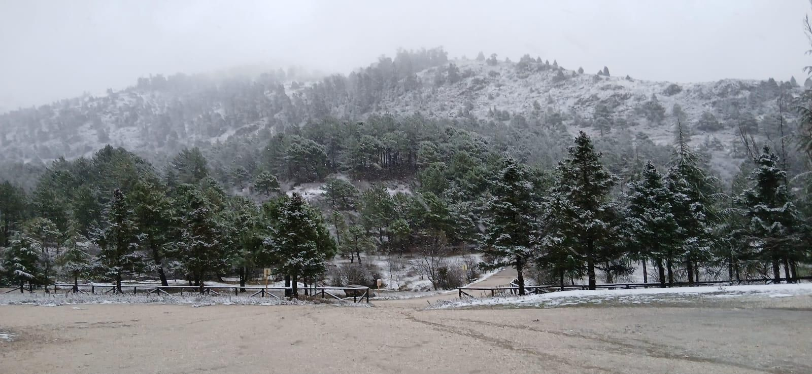 El Parque Nacional Sierra de las Nieves cubierto por la helada, en imágenes