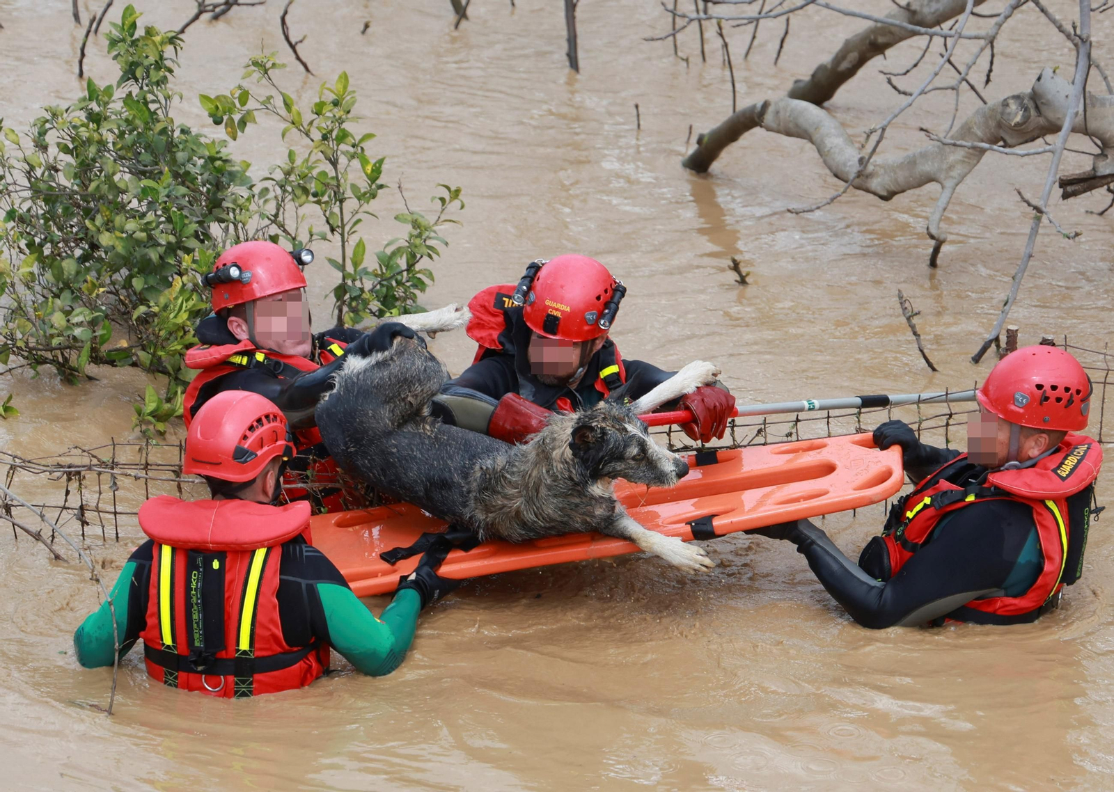 Rescate en Cártama por la inundación tras el paso de la borrasca 'Laurence' en marzo de 2025.