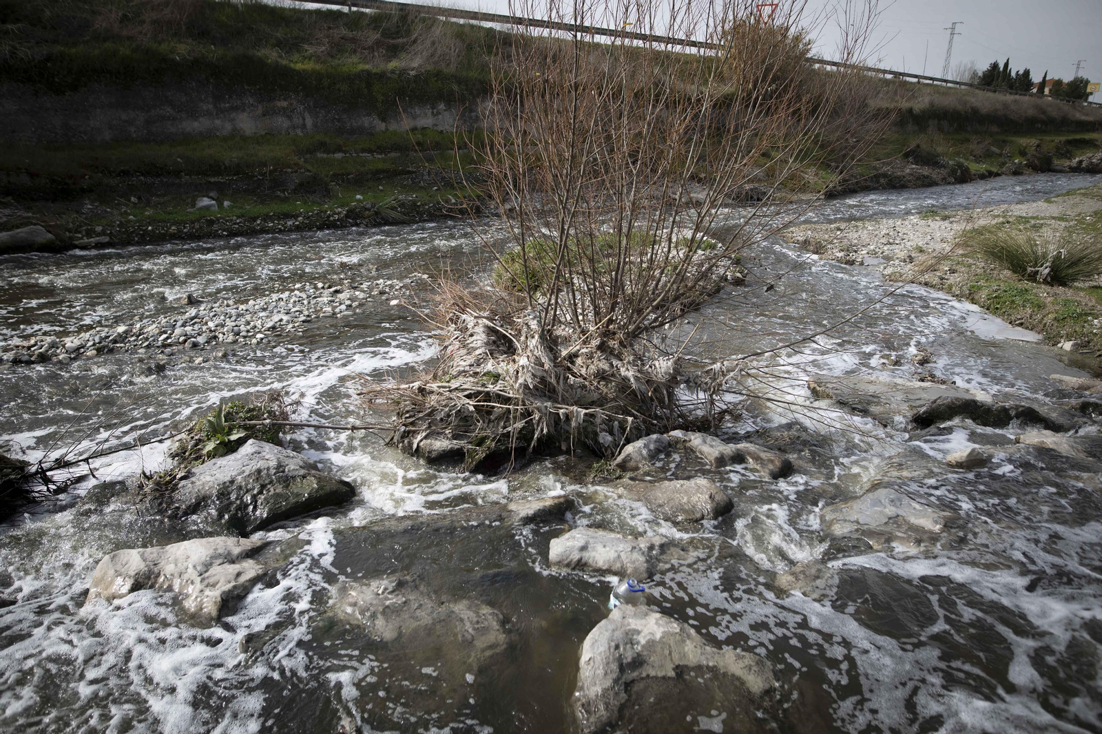 Fotos del 'cementerio' de toallitas que se acumula junto al río Genil en Granada