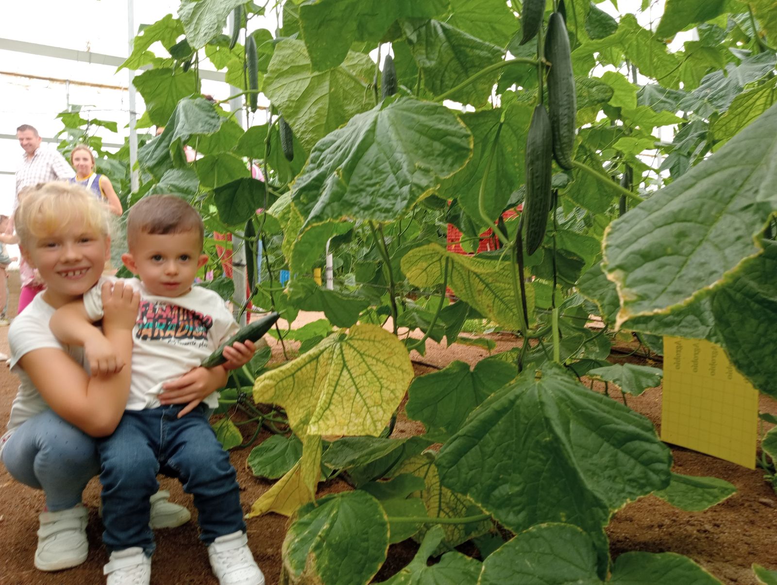 Desde las raíces de nuestra tierra en Níjar AJE impulsa la cultura emprendedora en los niños