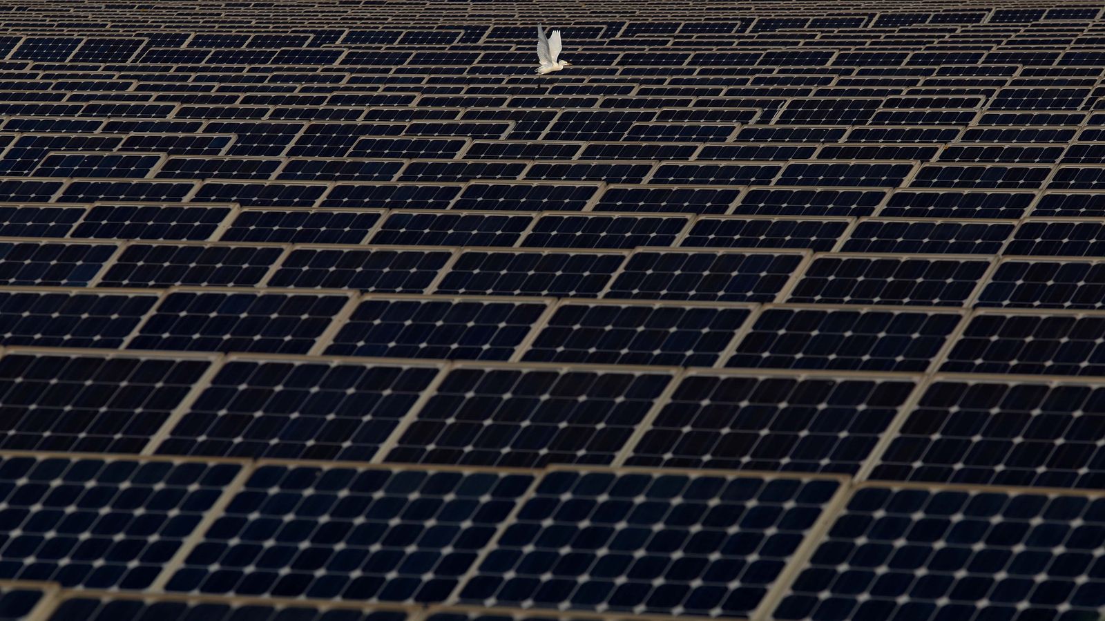 Sendero del arroyo de la Madre Vieja en San Roque