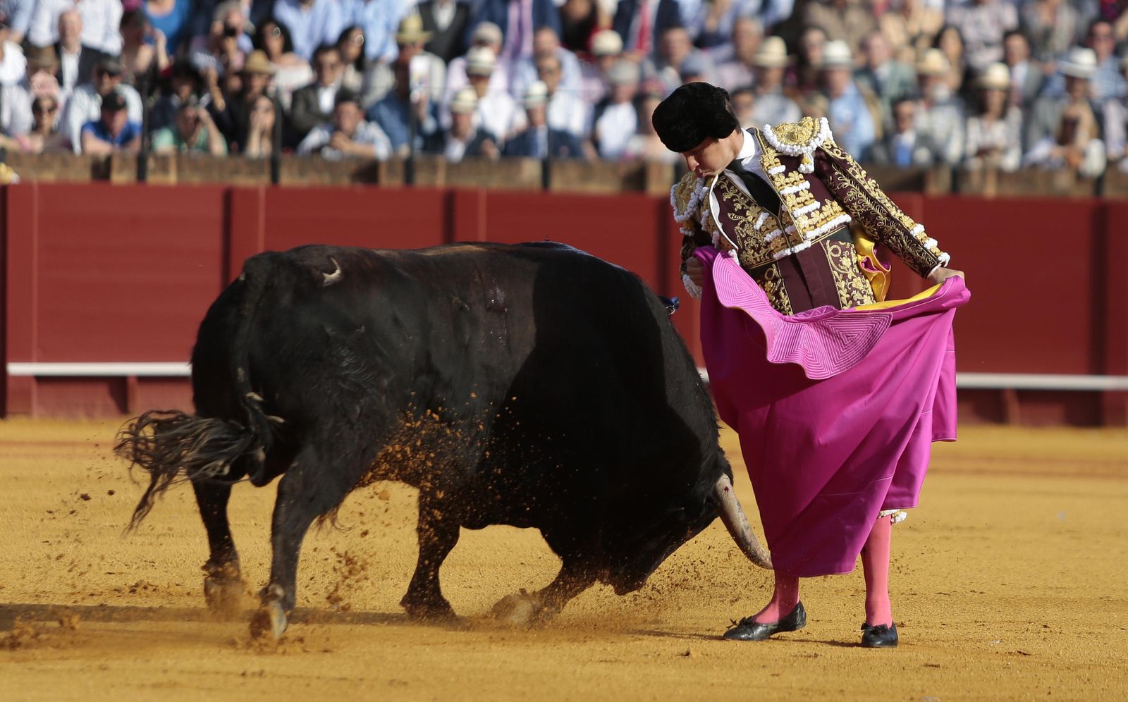 Las imágenes de la undécima de abono de la Maestranza