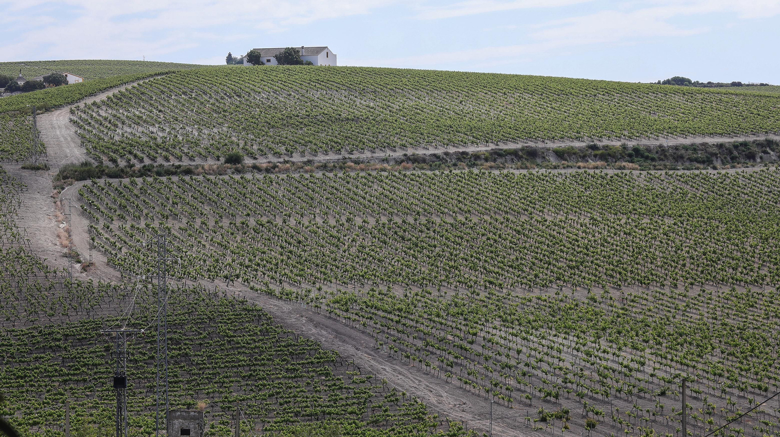 Cata vertical en Santa Petronila