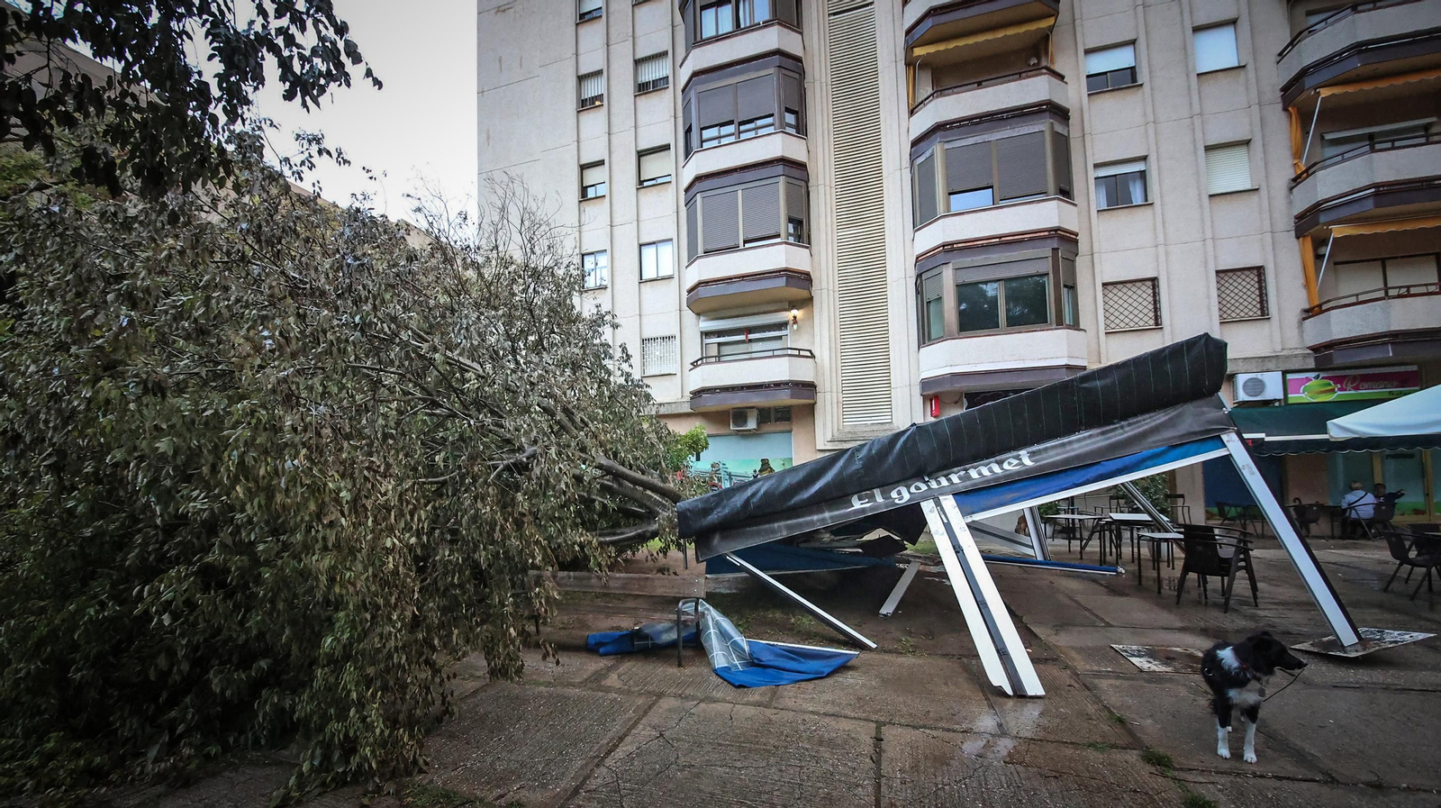 Así está Jerez tras el paso de 'Bernard'