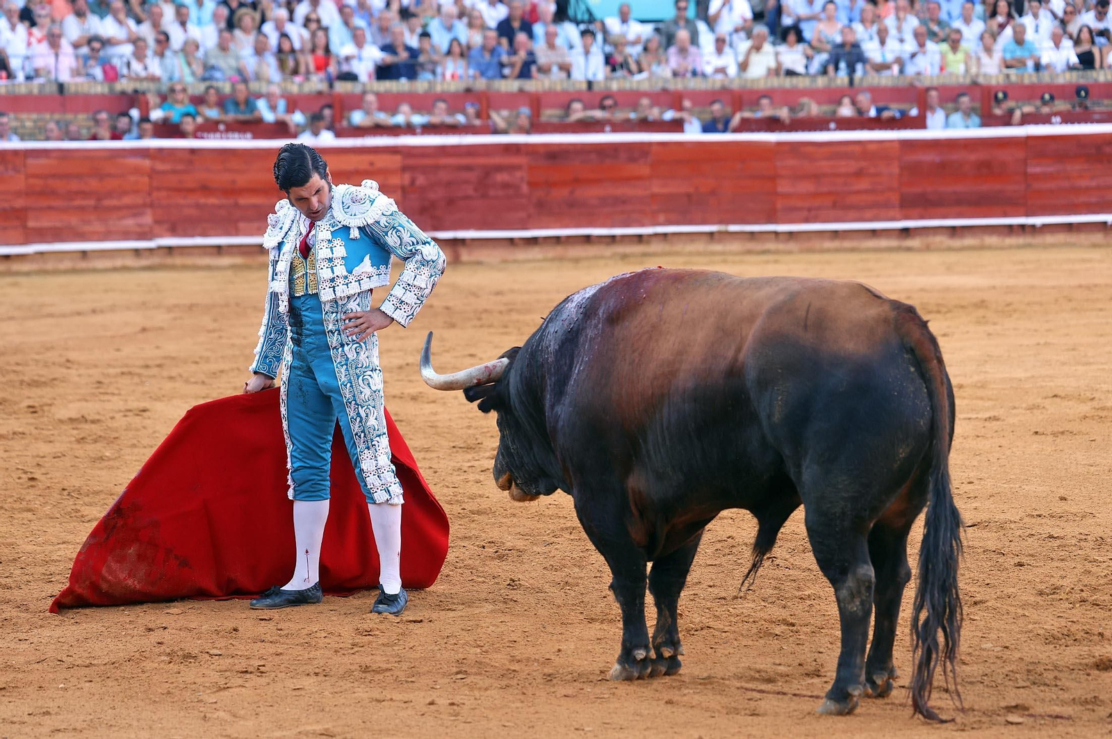 Toros La Merced 2025: Imágenes de la Corrida de Toros de Morante de la Puebla, Daniel Luque y Juan Ortega