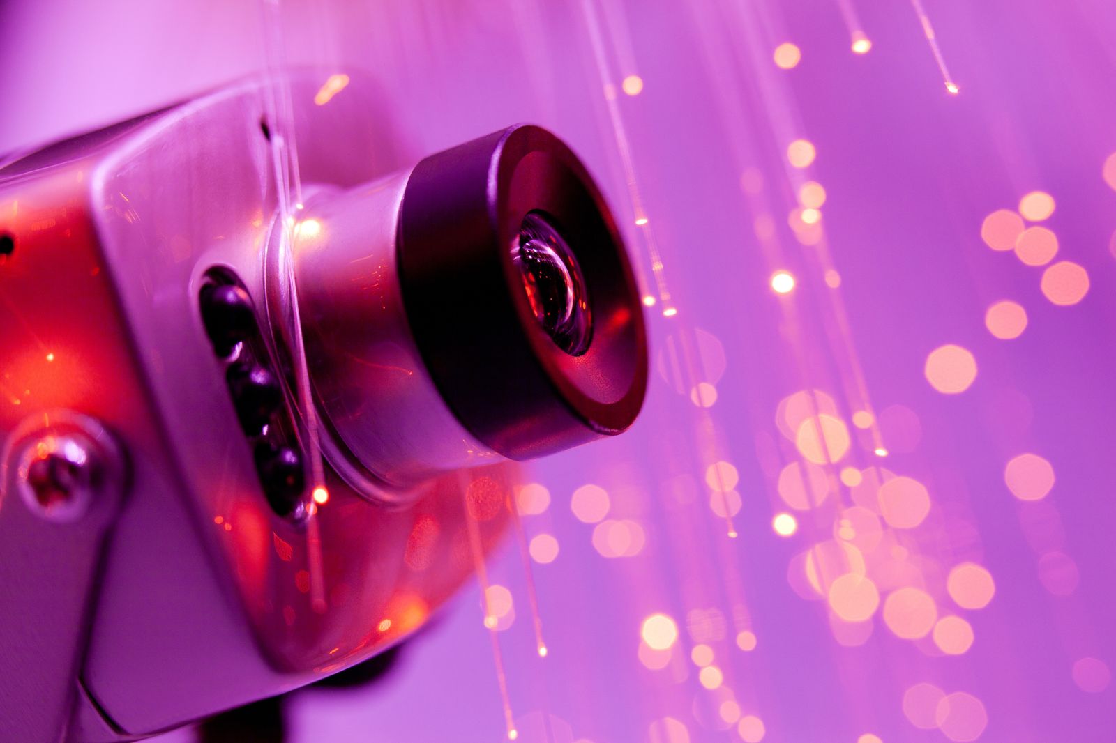 Investigadores de la US están detrás de este estudio.