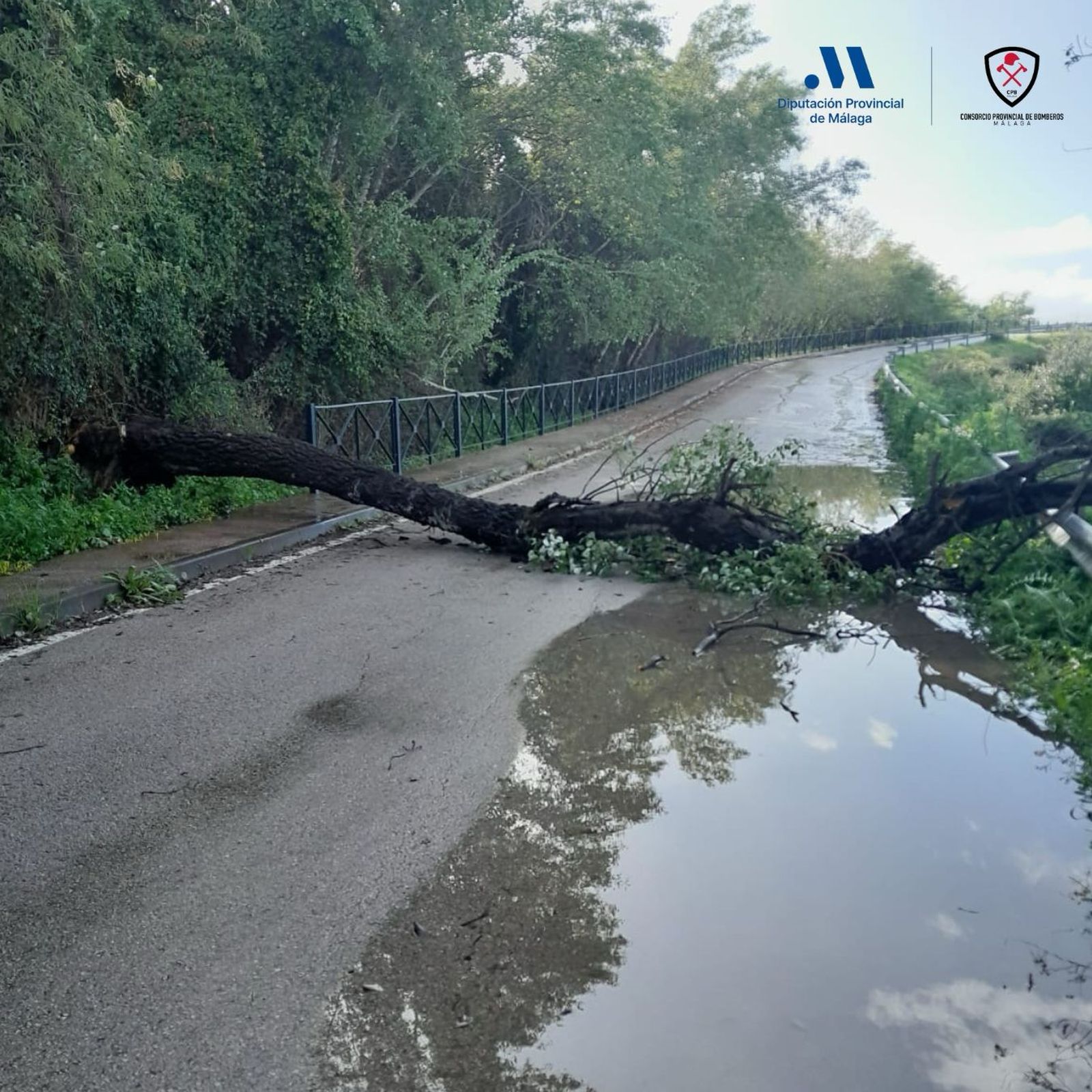 Imagenes de la provincia de Málaga tras el paso de la borrasca 'Jana'