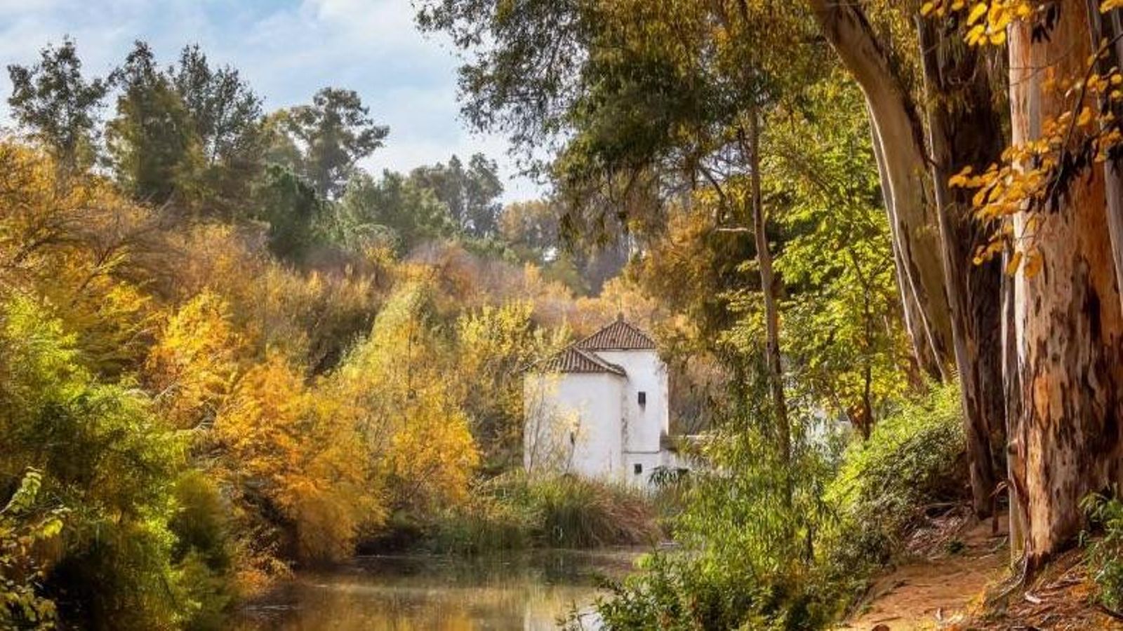 Ruta de los Molinos de Alcalá