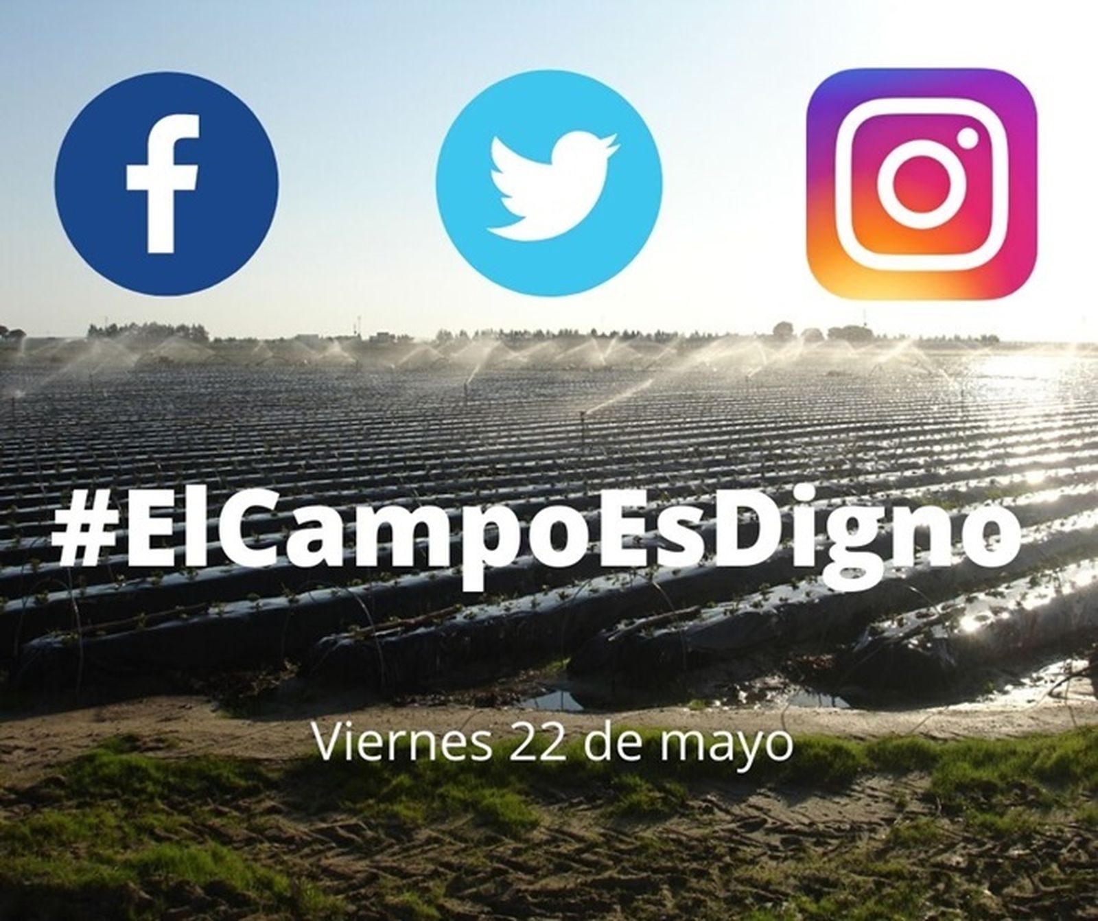 Imagen de la campaña en las redes sociales #ElCampoEsDigno
