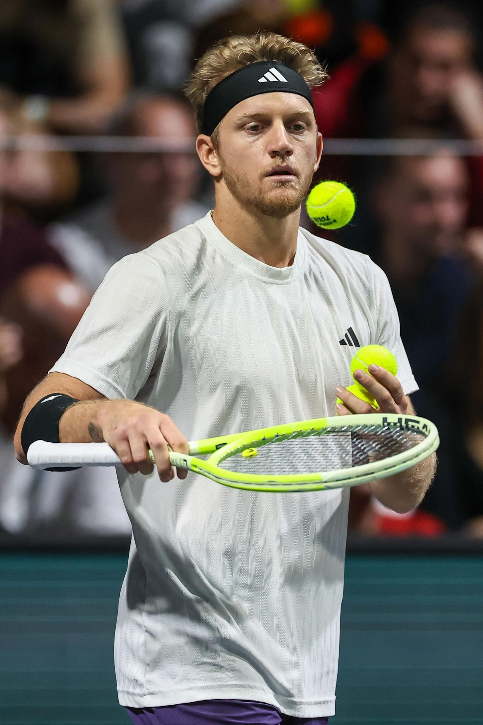Davidovich, en París.
