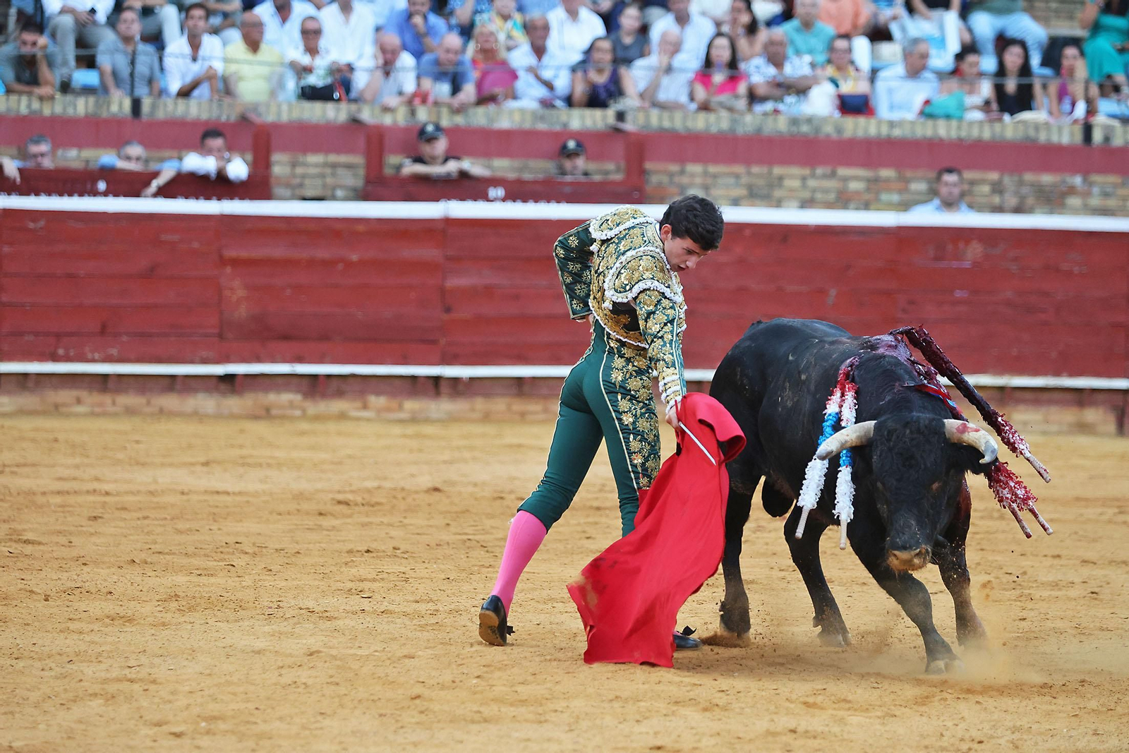 Toros La Merced 2024 Novillada con picadores(
