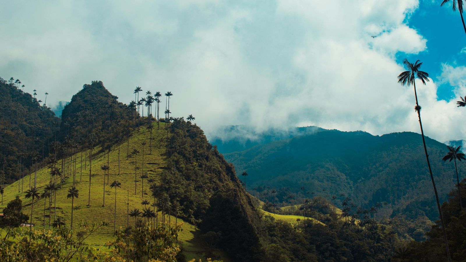 Viaje al corazón del Caribe: descubre sus tesoros naturales, culturales y culinarios