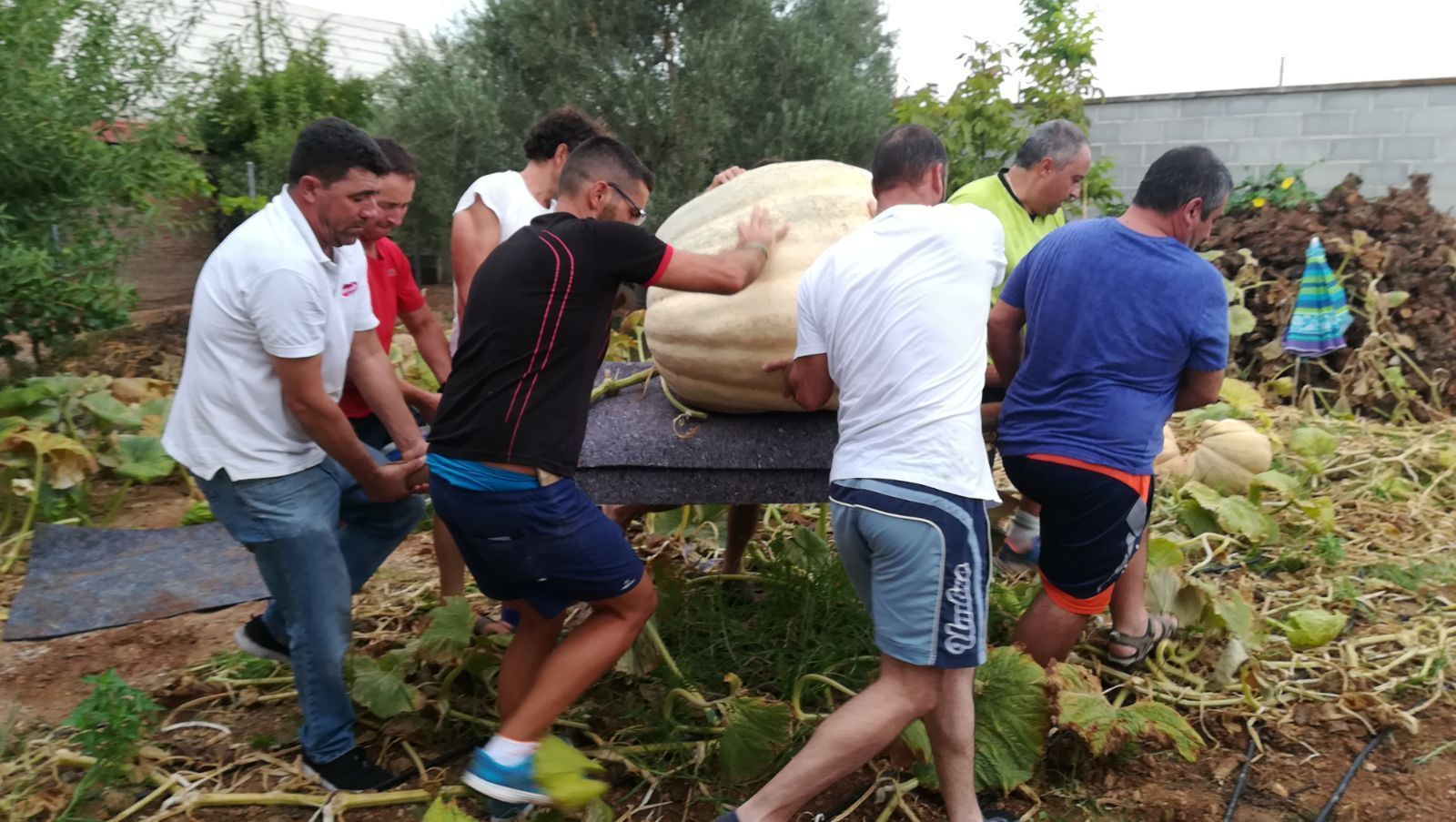 Imagen de los participantes en el concurso del pasado año.