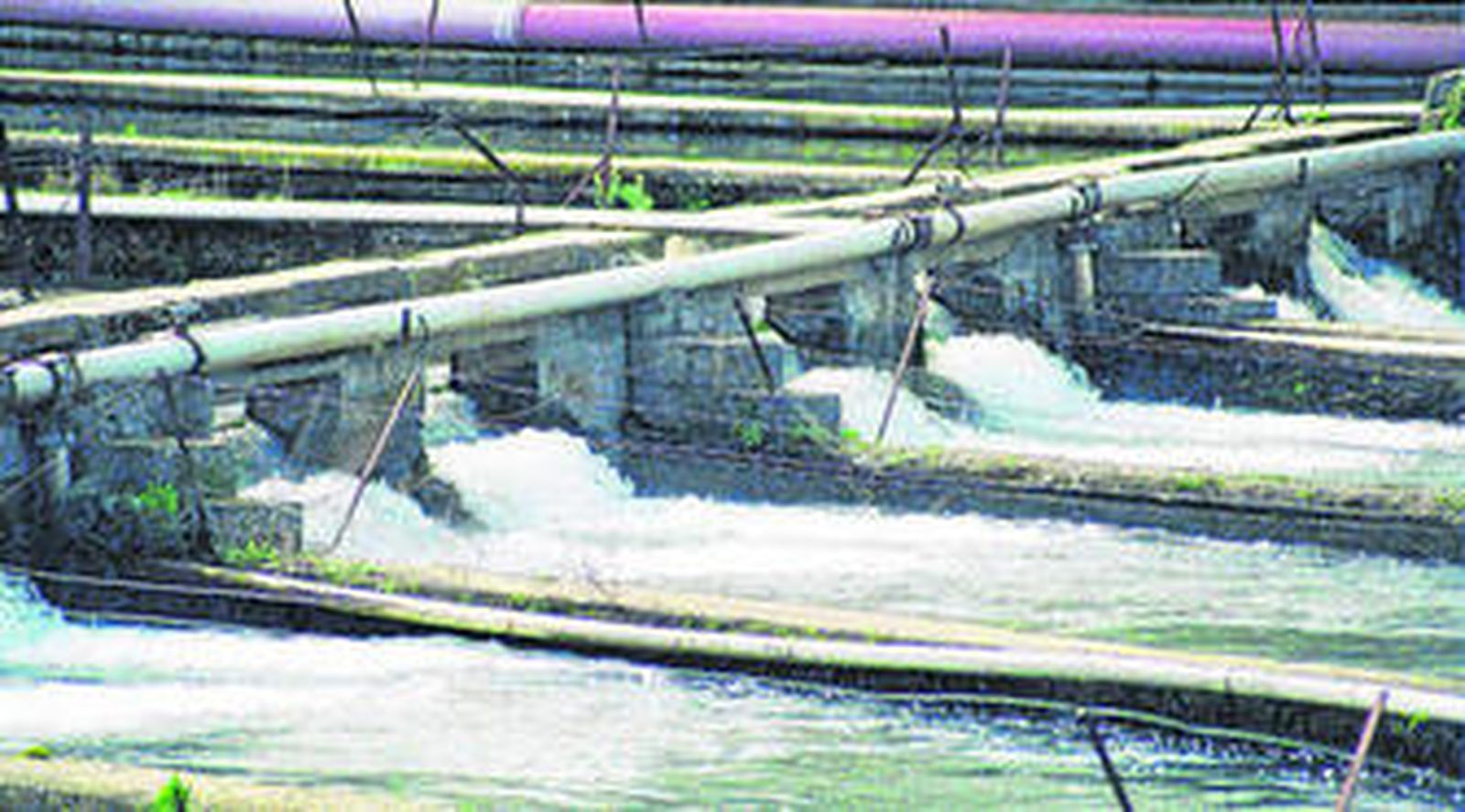 Instalaciones de la piscifactioría de esturiones en Loja.