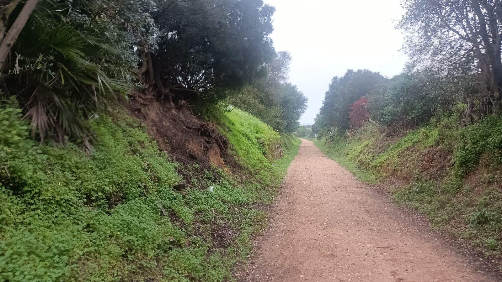 No cuesta mucho imaginar que por aquí pasaba el tren.