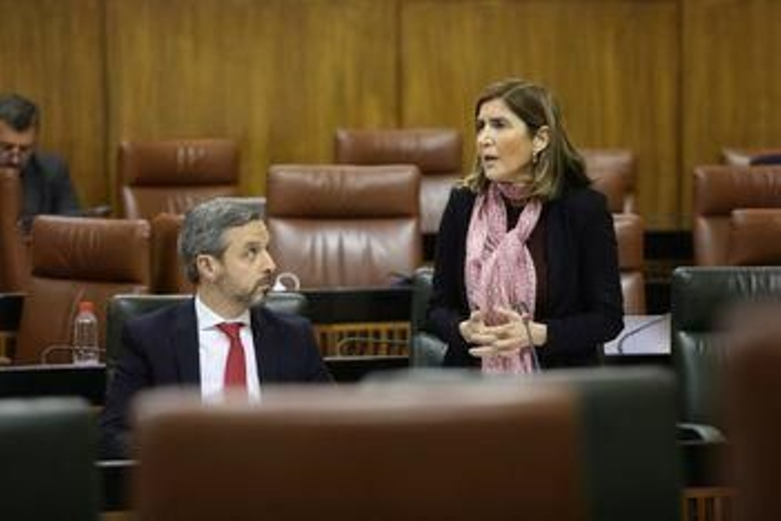 La consejera de Empleo, Rocío Blanco, en una intervención en el Parlamento.