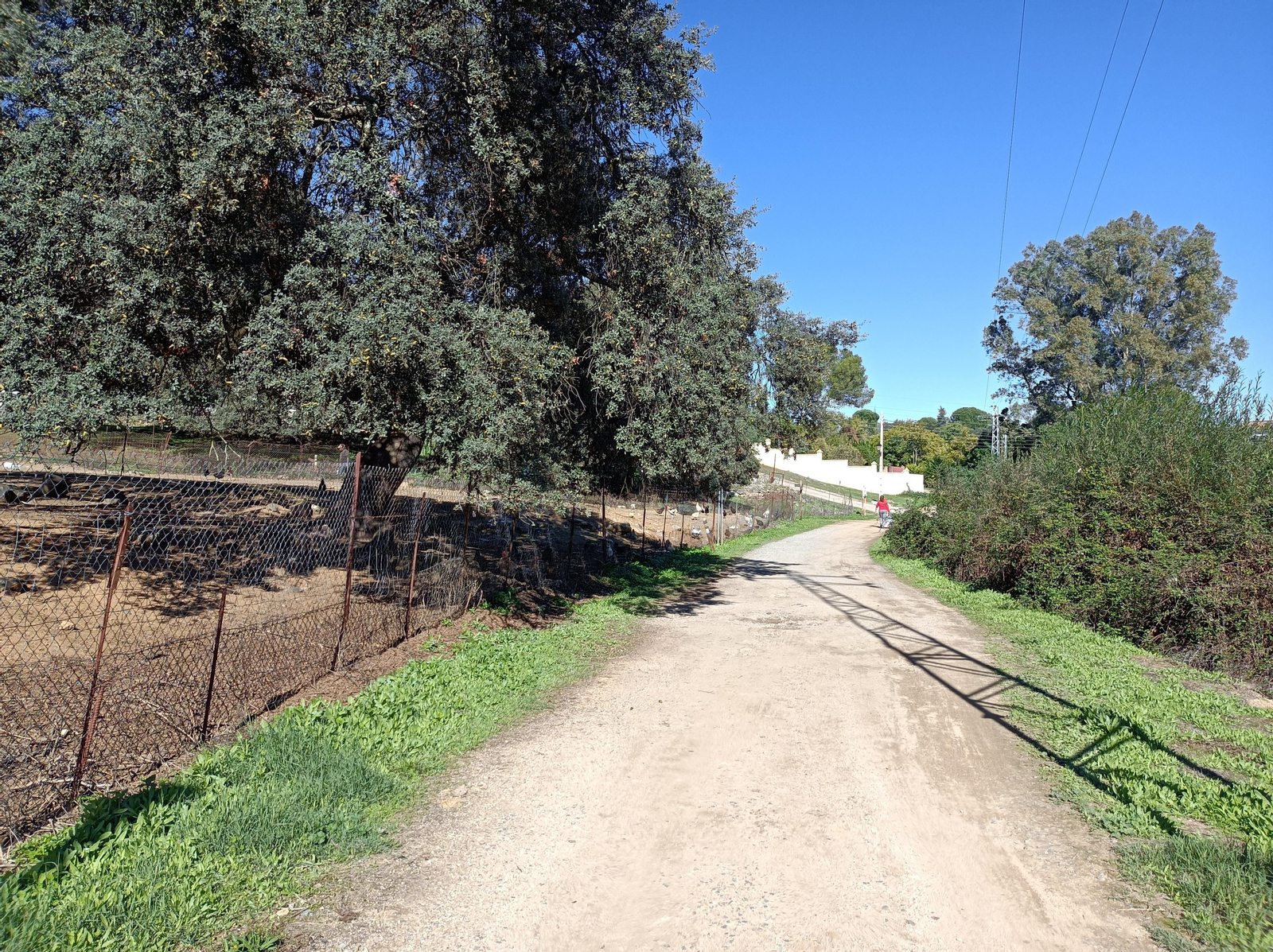 Ruta de Las Cañadillas