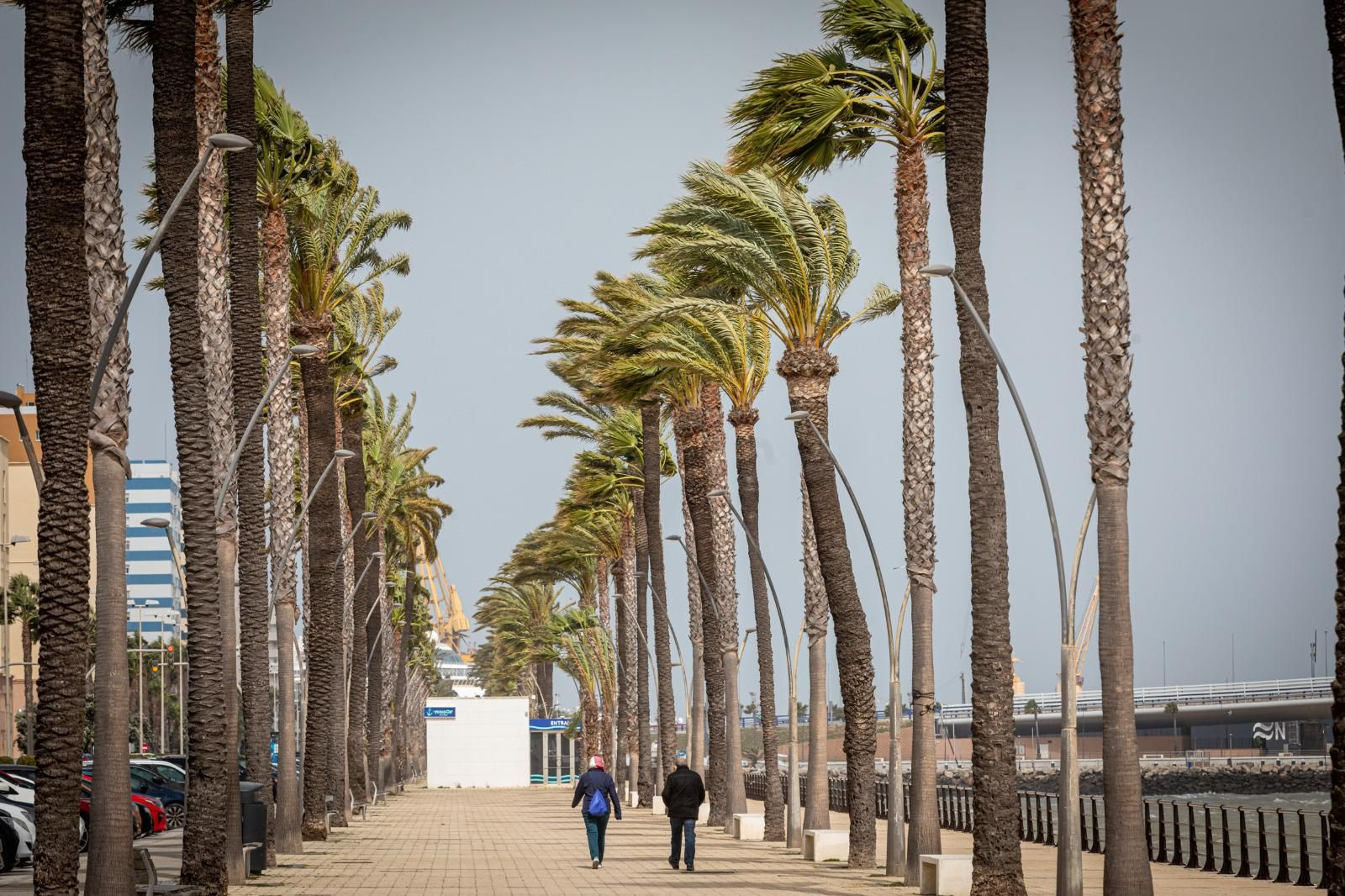 Alerta naranja por Levante en Cádiz