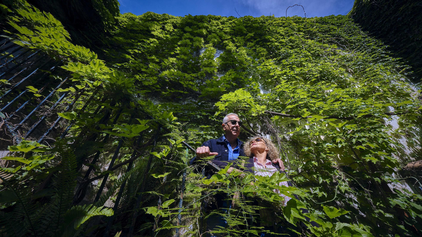 Fiesta de los patios 2023 de El Puerto