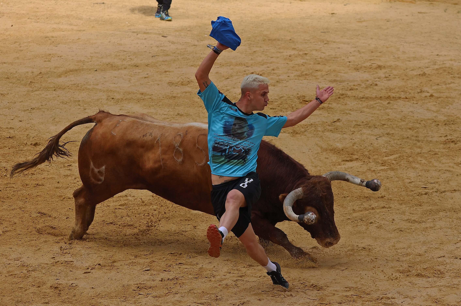 Las mejores fotos del Toro Embolao de Los Barrios 2024
