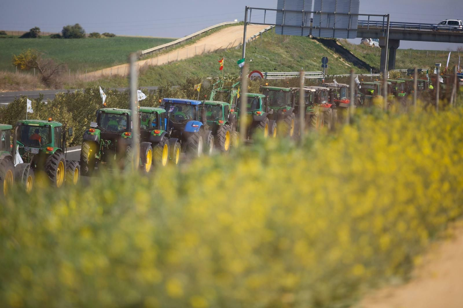 La tractorada en Sevilla, en imágenes