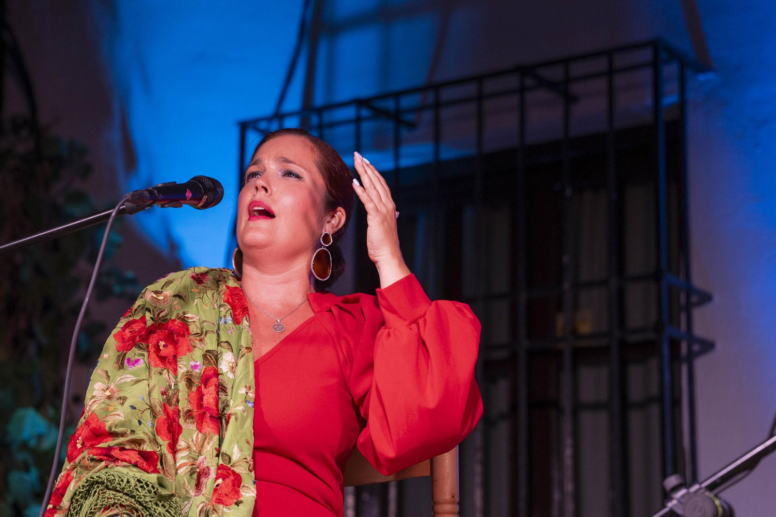 Las mejores imágenes del Festival de Flamenco en Fondón