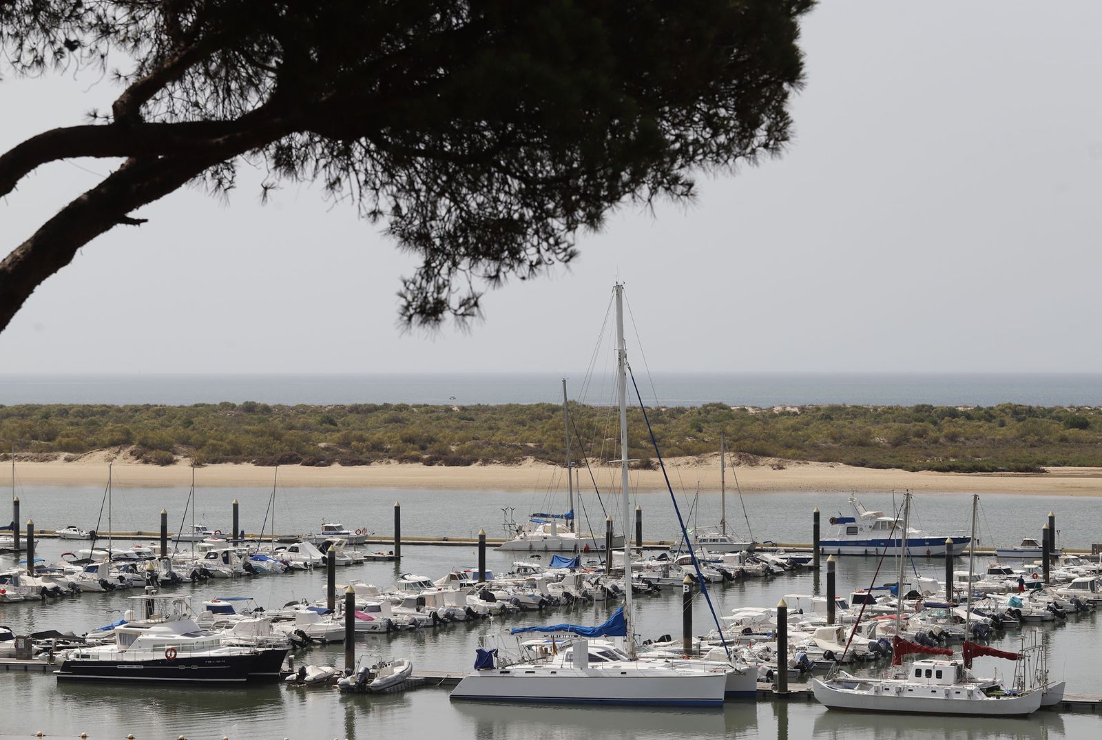 Las imágenes más destacadas del miércoles 19 de julio en Huelva