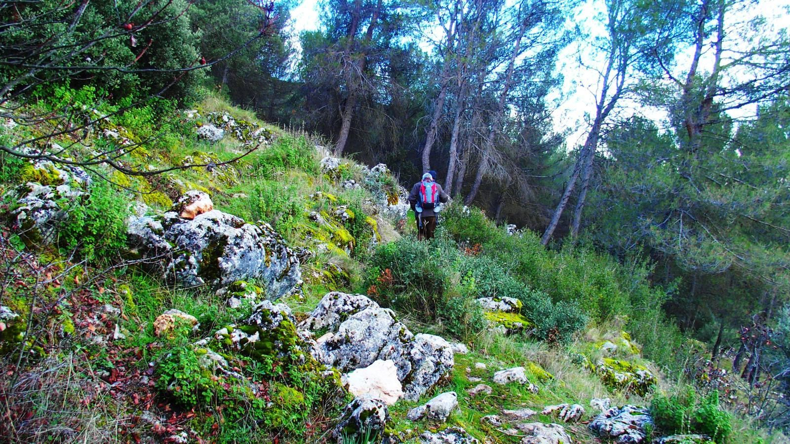 Acceso empinado hacia la Cueva de los Murciélagos.