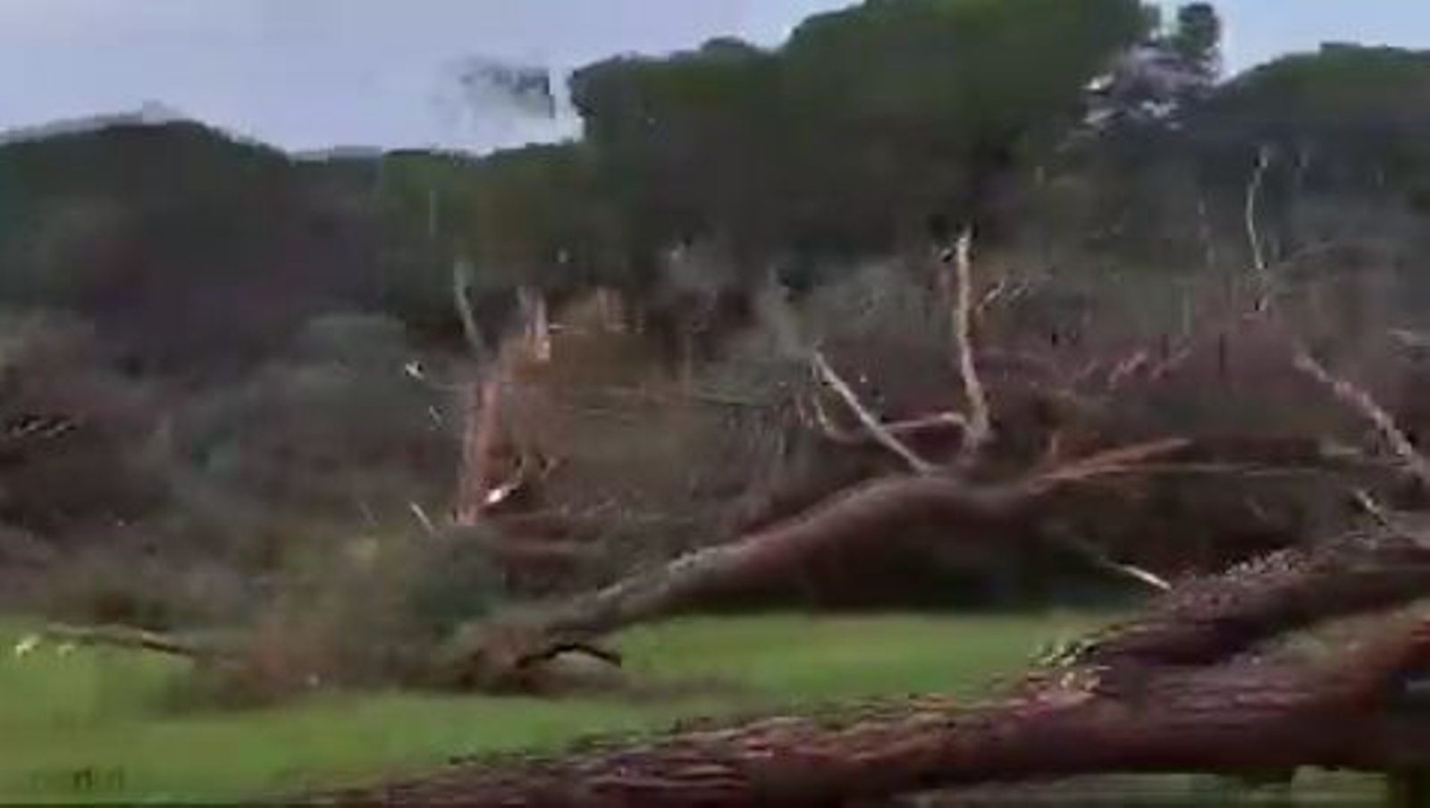 Fenómeno que pasó por Huelva el pasado sábado. Fenómeno que pasó por Huelva el pasado sábado.
