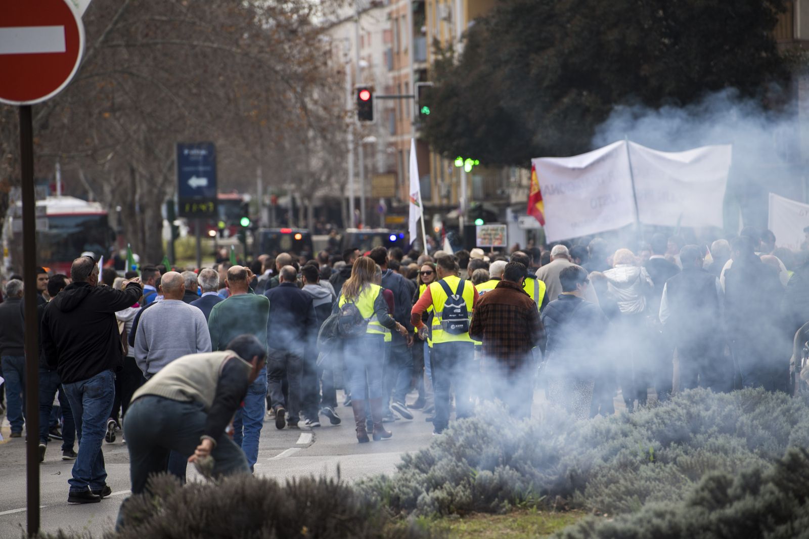 Curiosidades: las mejores fotos de la manifestación del campo en Granada