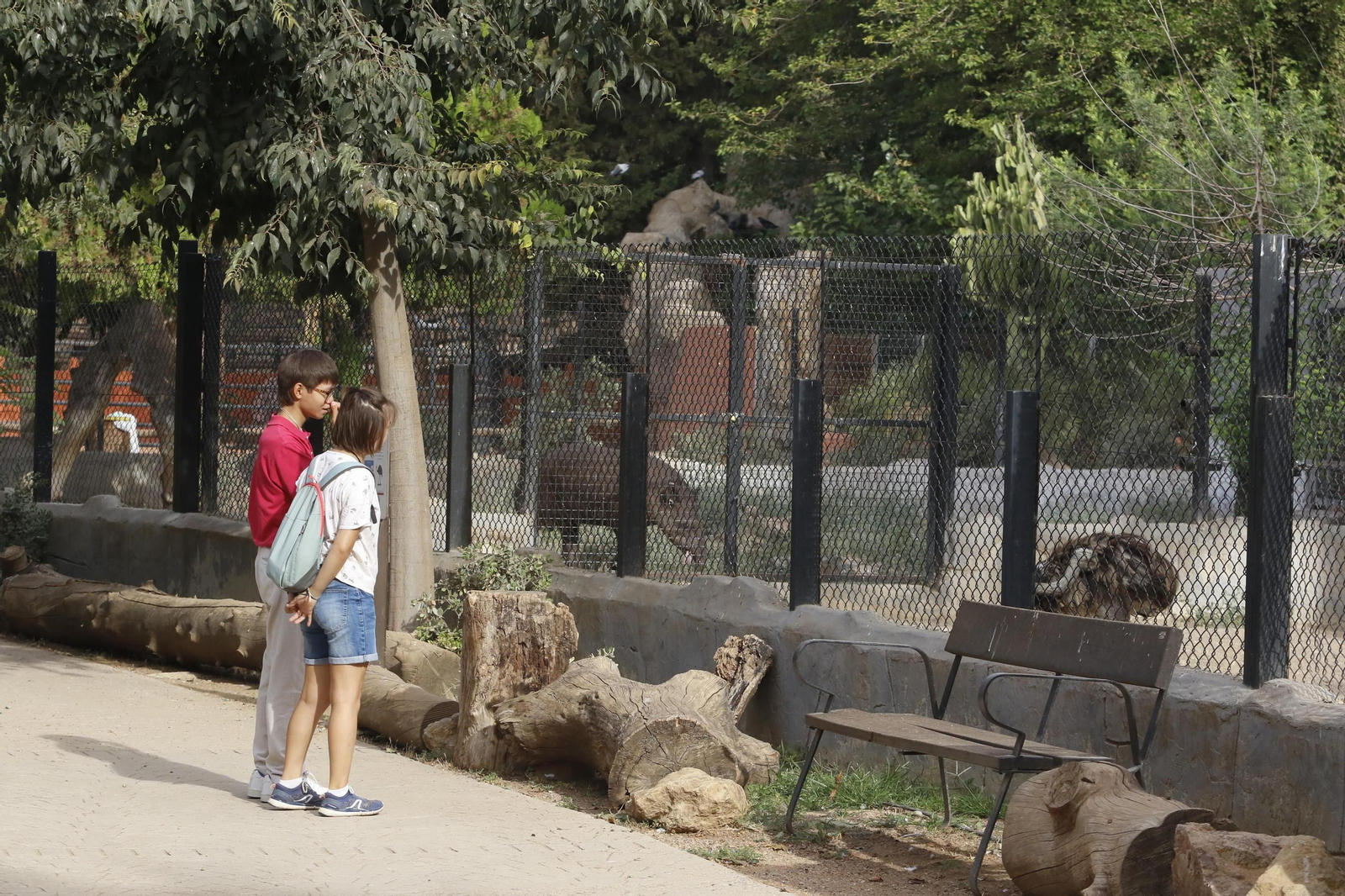 Las imágenes de la reapertura del zoo de Córdoba