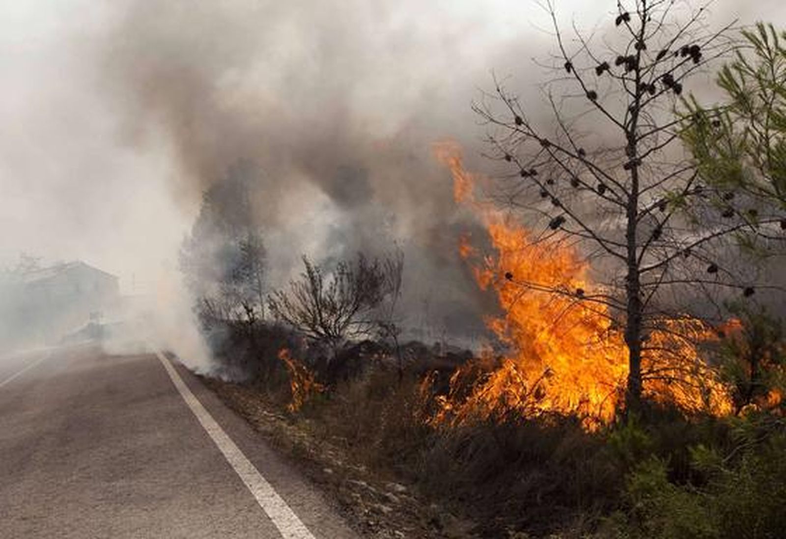 El fuego arrasa miles de hectáreas en comarcas del interior de la provincia de Valencia.

Foto: AFP
