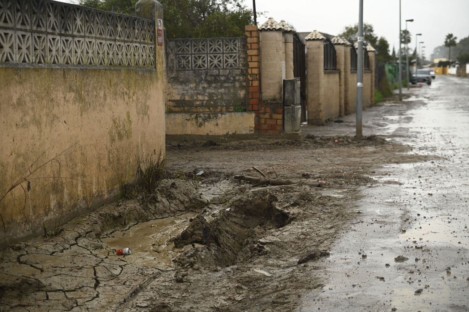 Parcelas de Guadalvalle siguen anegadas por el barro un mes después de las inundaciones