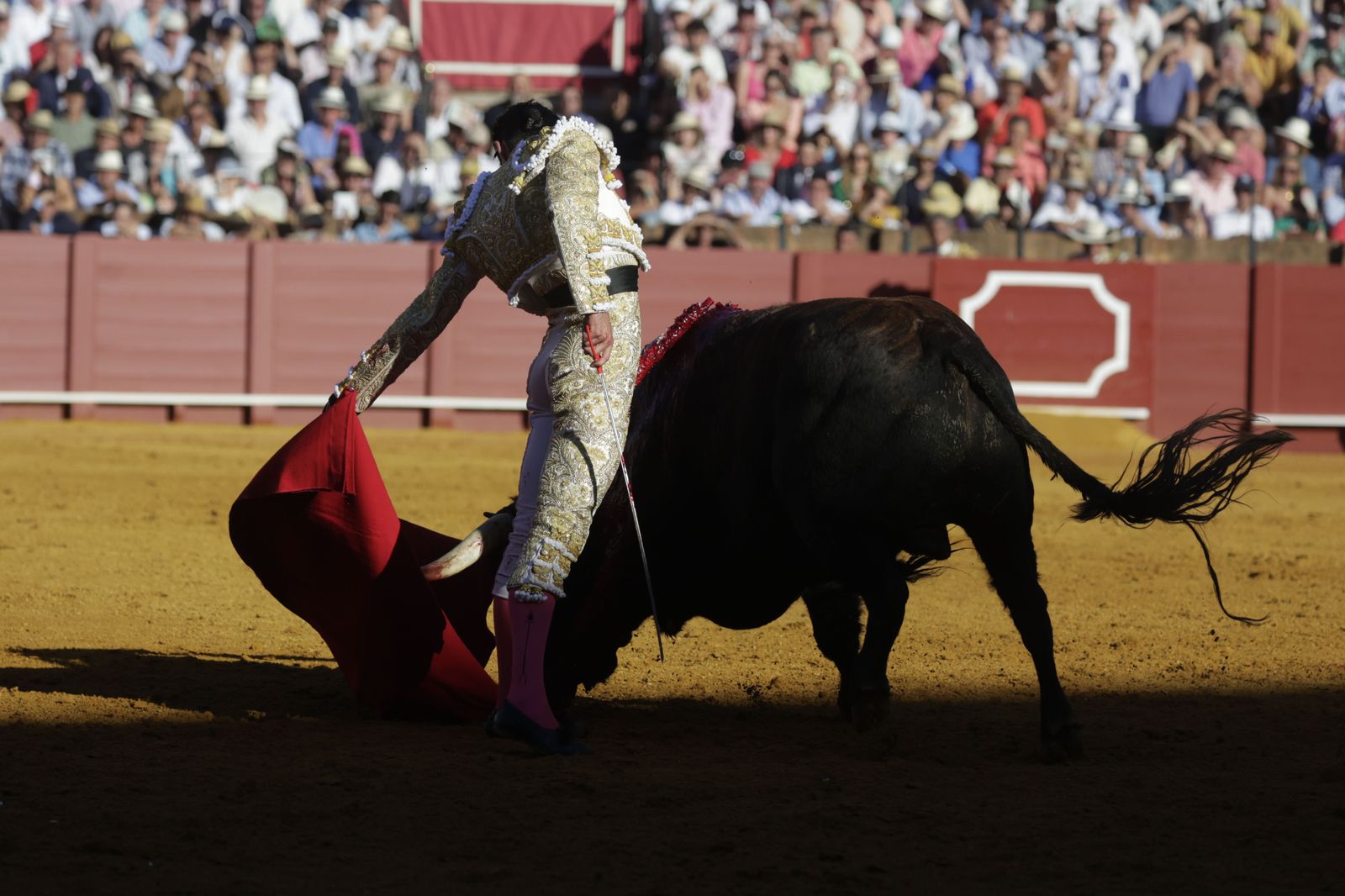 Las imágenes del festejo