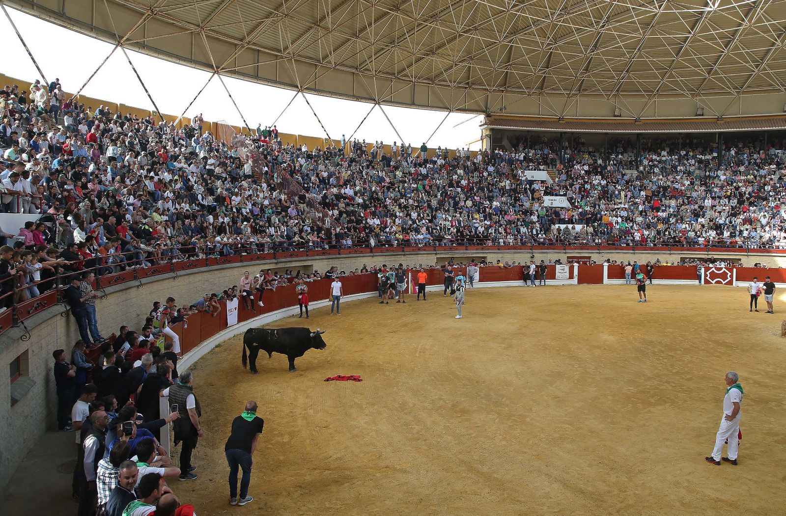Fotos del Toro Embolao en Los Barrios