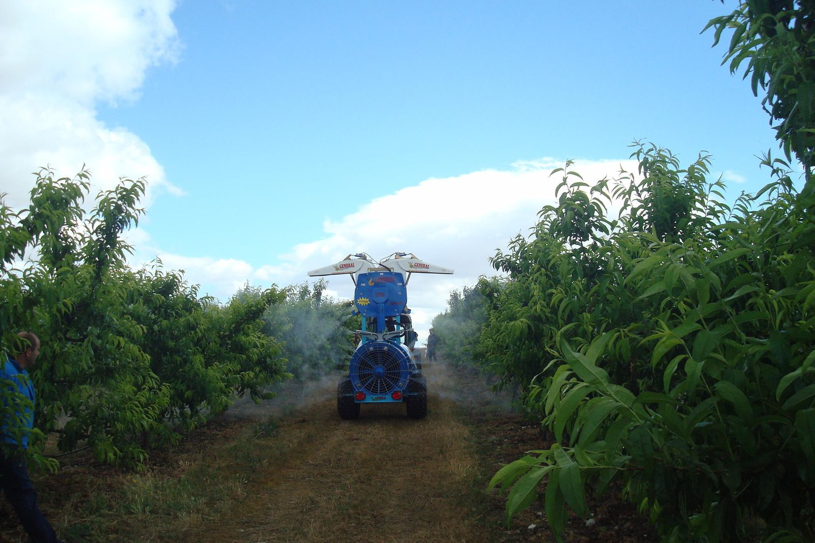 Máquina en plena tarea aplicando tratamiento fitosanitario  a los campos de cultivo para prevenir enfermedades.