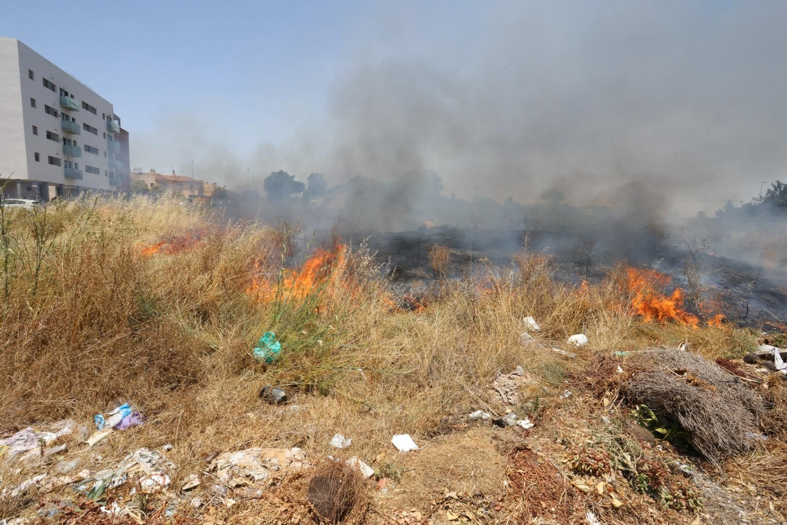 Incendio de pastos junto a la avenida de Espera en Jerez