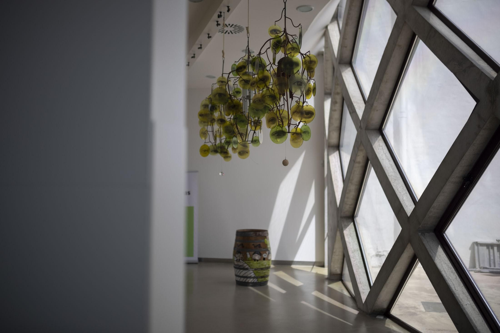 Imágenes de la vendimia en el Condado de Huelva