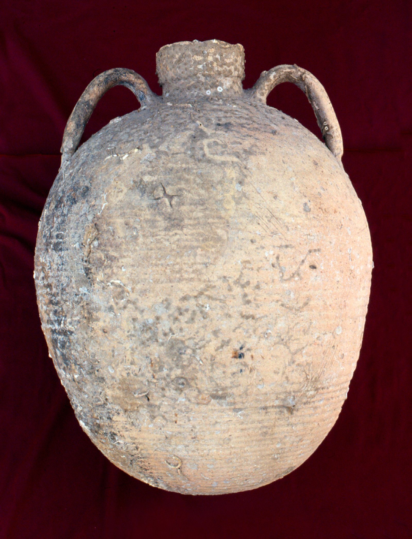 Tinaja valenciana del siglo XIV hallada en aguas de la bahía