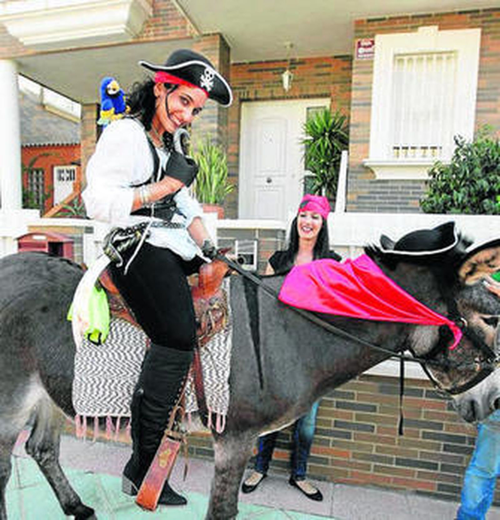 Despedida pirata a lomos de una burra