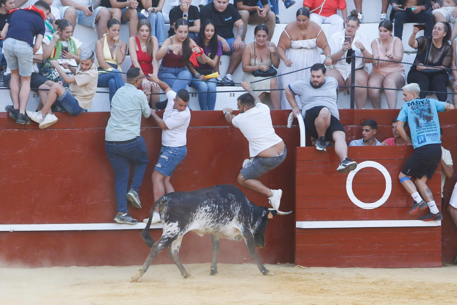 Fotos del Toro del Aguardiente en San Roque